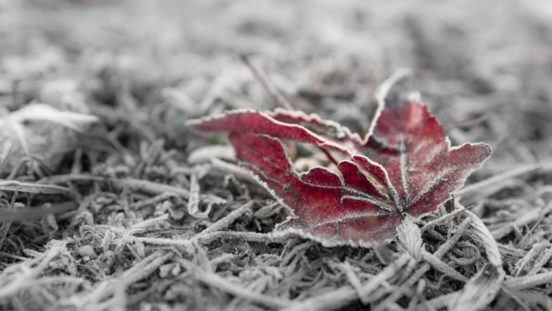 Фото: @germikyna / freepik.com