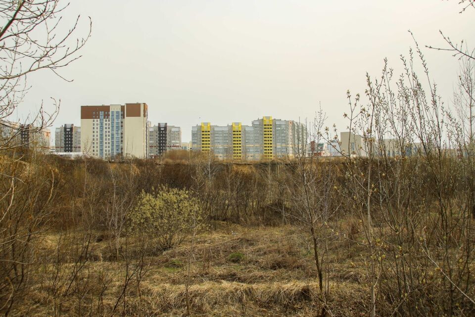    Территория с оврагами за Павловским трактом (район ТЦ "Европа"). Источник: Виталий Барабаш