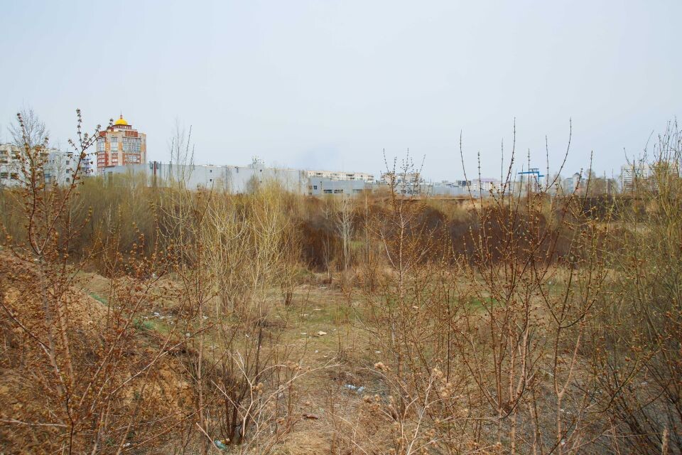    Территория с оврагами за Павловским трактом (район ТЦ "Европа"). Источник: Виталий Барабаш