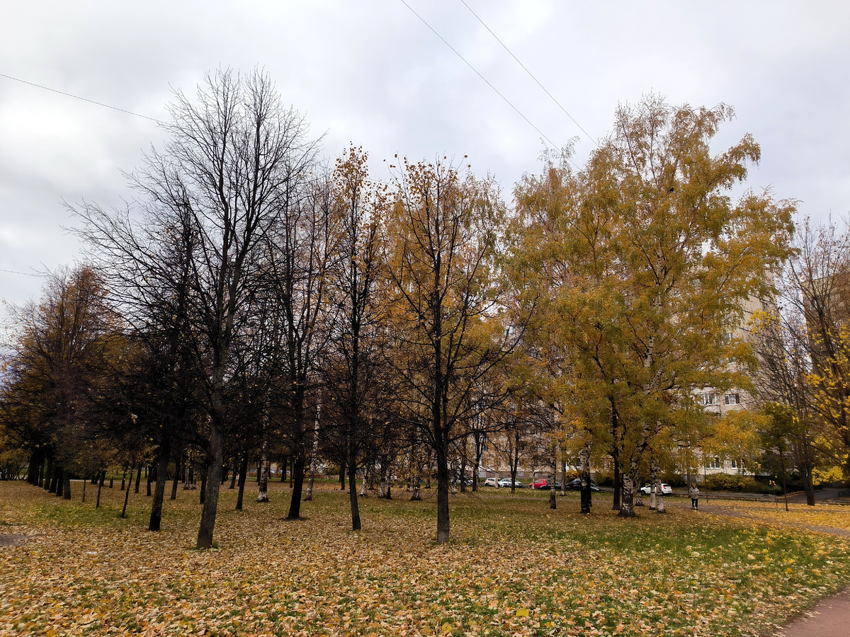 Maksim Konstantinov/Global Look Press