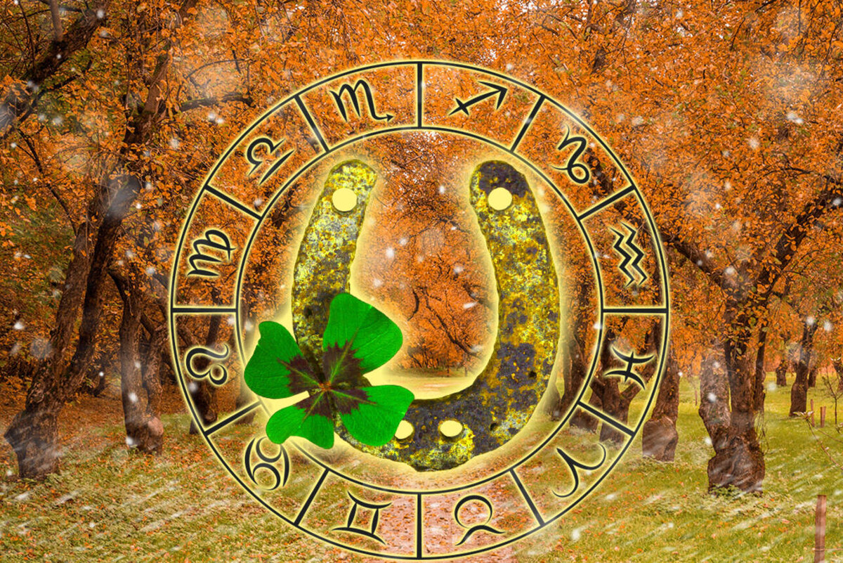    Гороскоп удачи на ноябрь 2024 для всех знаков зодиака 123RF/legion-media.ru. Коллаж: 7Дней.ru