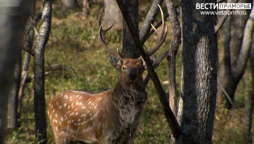    Источник фото: