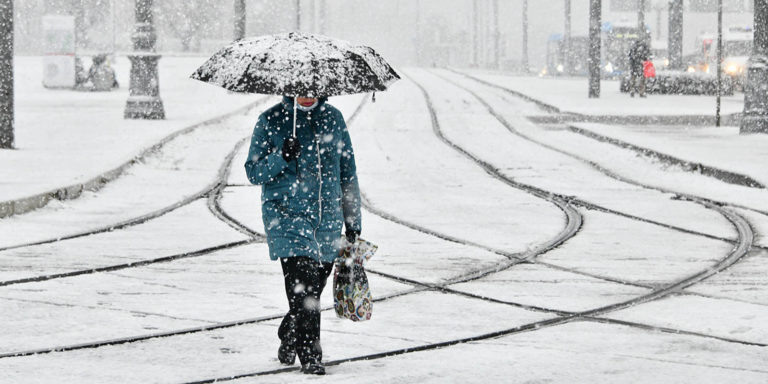    Фото: Официальный сайт Мэра Москвы / Ю. Иванко Анастасия Давыдова