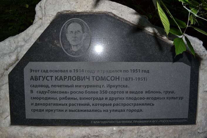 Памятник Томсону А.К. Фото с сайта https://dzen.ru/a/YQDN3oerH1gTgJqc.Взяо с Яндекс.Картинки