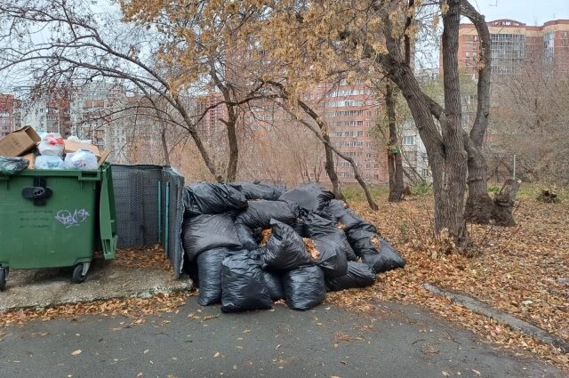    Фото: Опора России