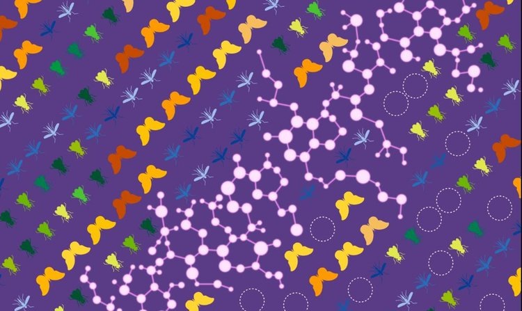    Эффекты коктейля агрохимикатов усиливаются для насекомых при повышении температуры