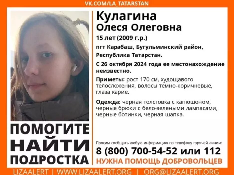     Источник: Поисково-спасательный отряд «Лиза Алерт»