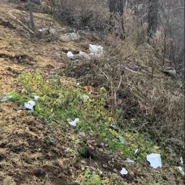 Роща «Звездочка» в Свердловском округе Иркутска превратилась в свалку. На скопление отходов в парковой зоне обратили внимания очевидцы. Видео с разбросанным мусором в овраге территории появилось в телеграм-канале «Красный Иркутск».