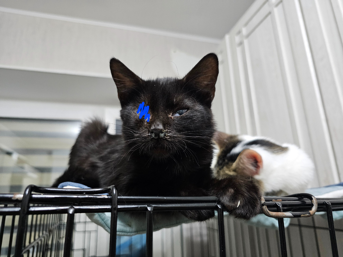 Фото автора. Ева.