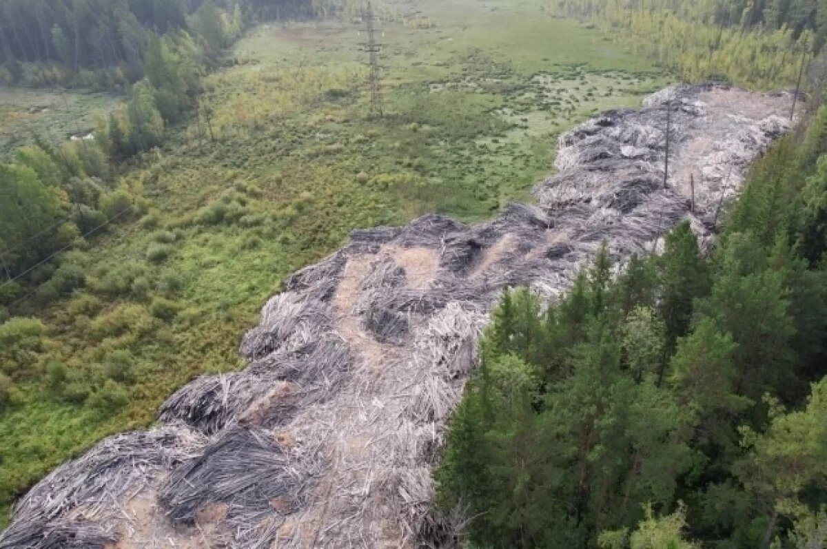    В Красноярском крае директора подрядной компании осудили за мошенничество