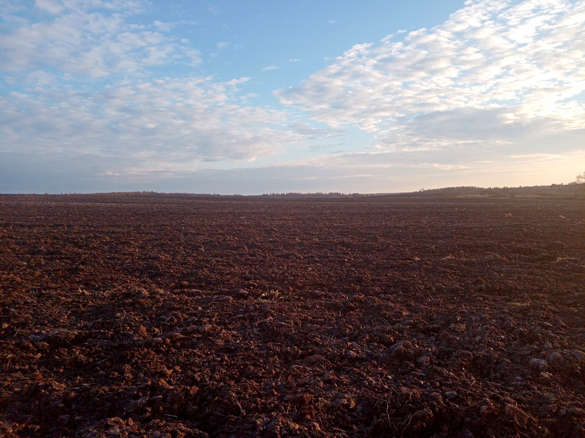 Копать не перекопать