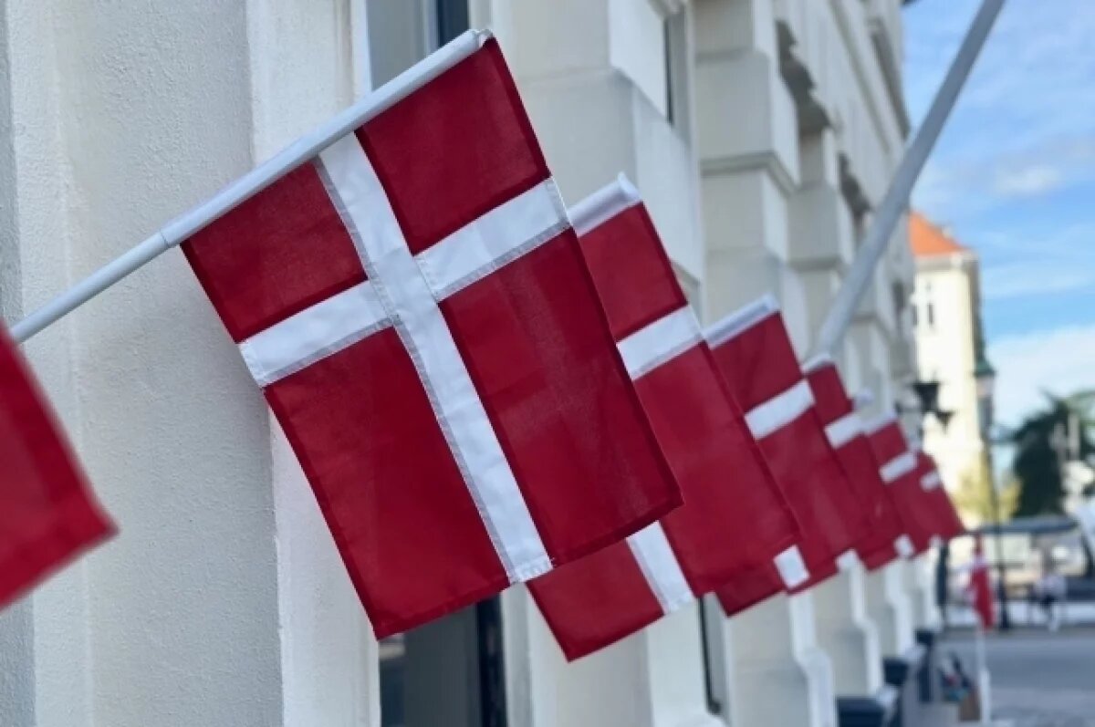    Посол рассказал о судьбе задержанной в Дании россиянки