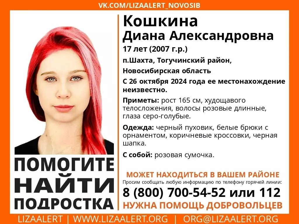     Источник: ЛизаАлерт