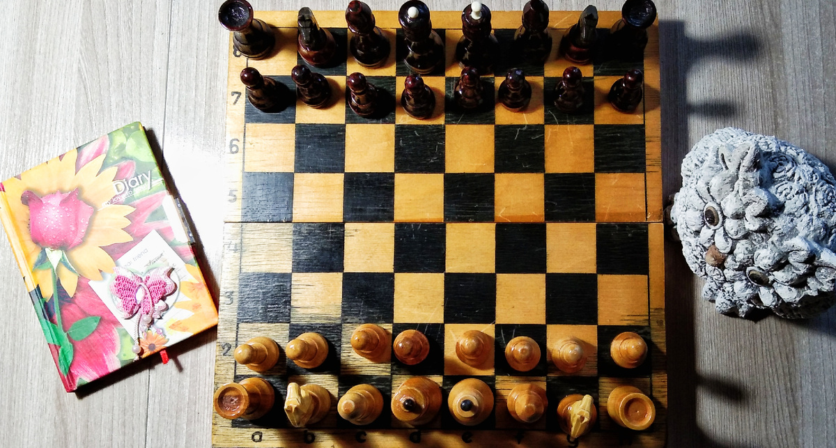 Всё готово к разбору новой партии . Сова мой неотъемлемый спутник в этом увлечении!