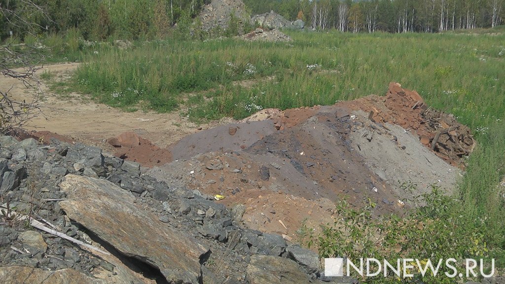    Фото из архива