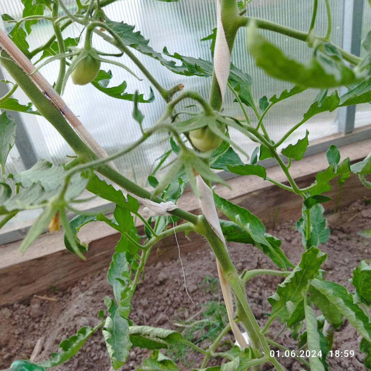 Фото 1 июня. 