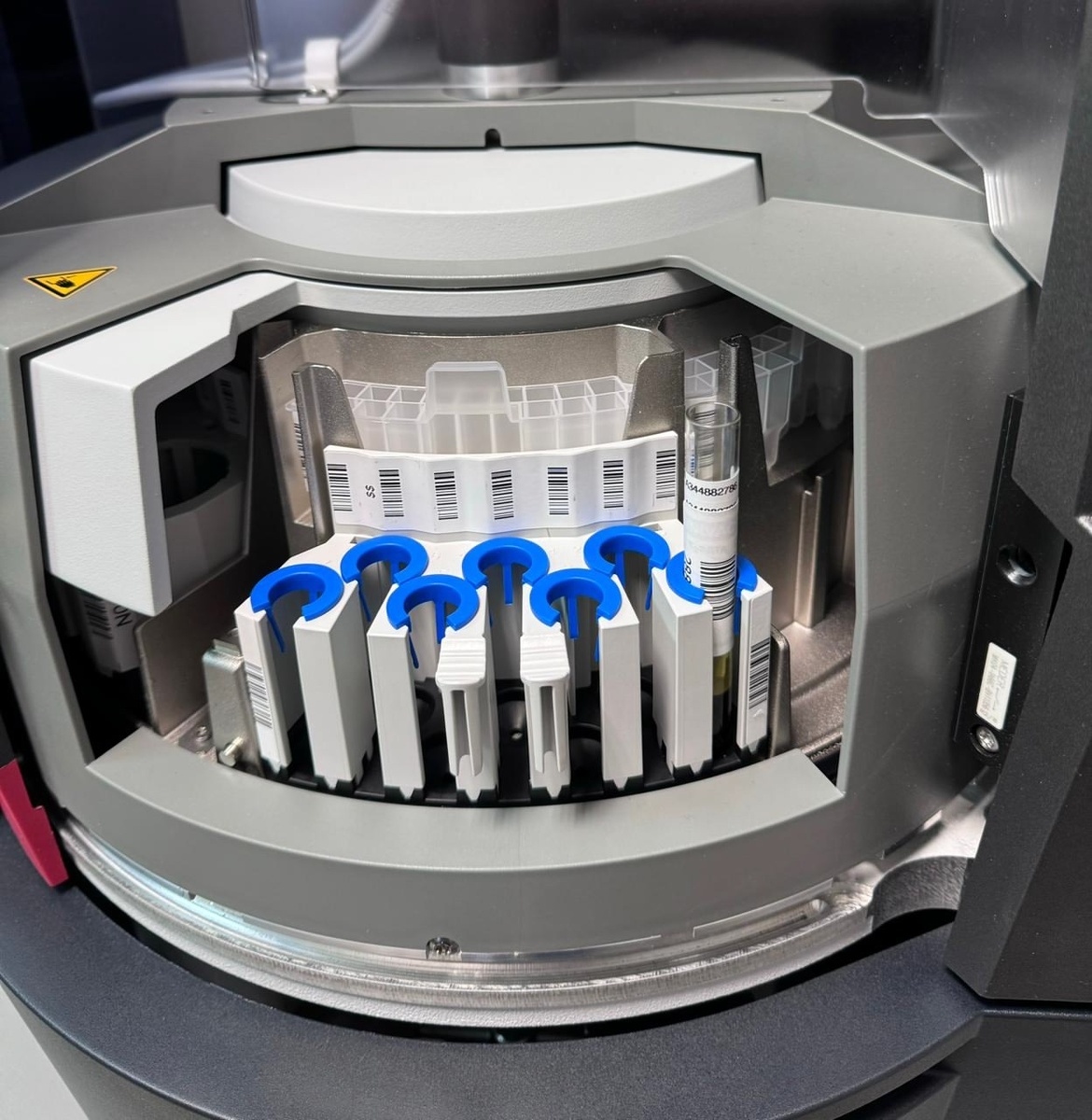    Фото: Михаил Охлопков