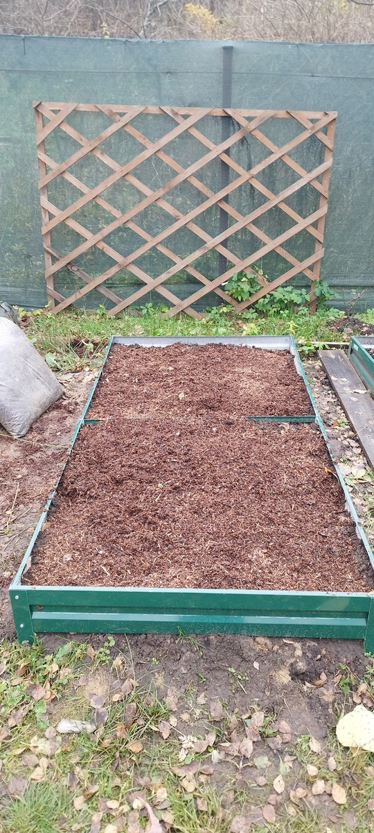 Одна из грядочек