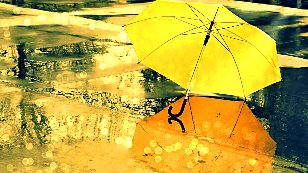 Фото взято из интернета.