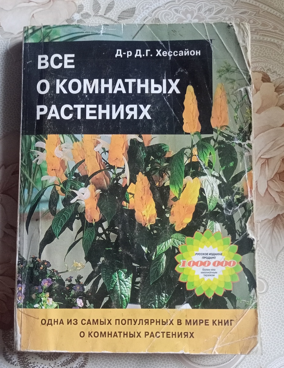 Фото автора канала "Волнушка-петрушка"