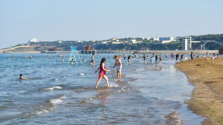 Shutterstock/FOTODOM