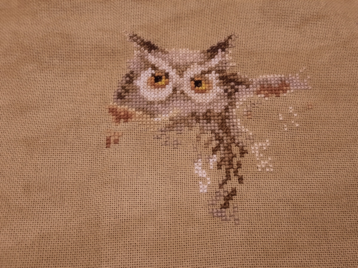 Начало вышивки. Отец совиного семейства