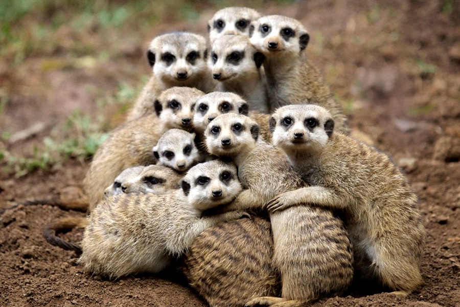 -Мы вместе и нам не страшно...совсем, совсем.