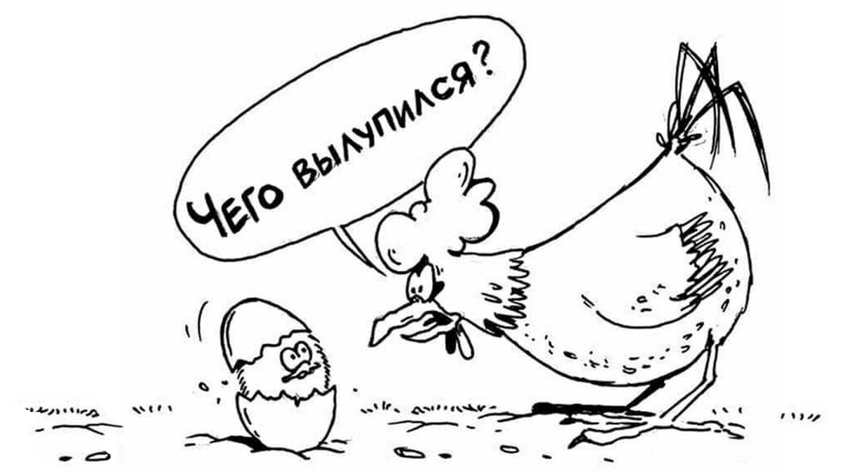 Что появилось раньше – курица или куриное яйцо? С точки зрения эволюции – яйцо!