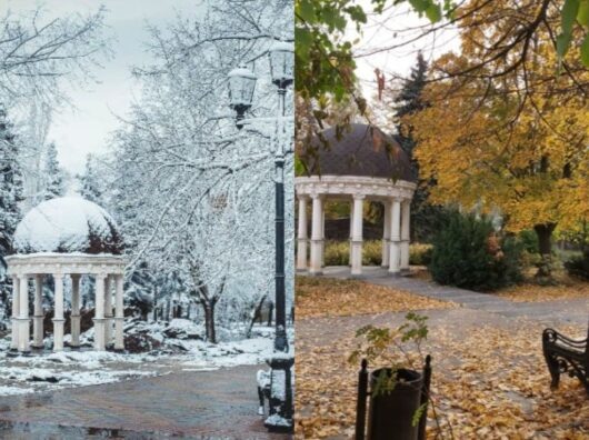    парк "Аллея Роз" в Ростове зимой и осенью // фото: коллаж "Городской репортер"