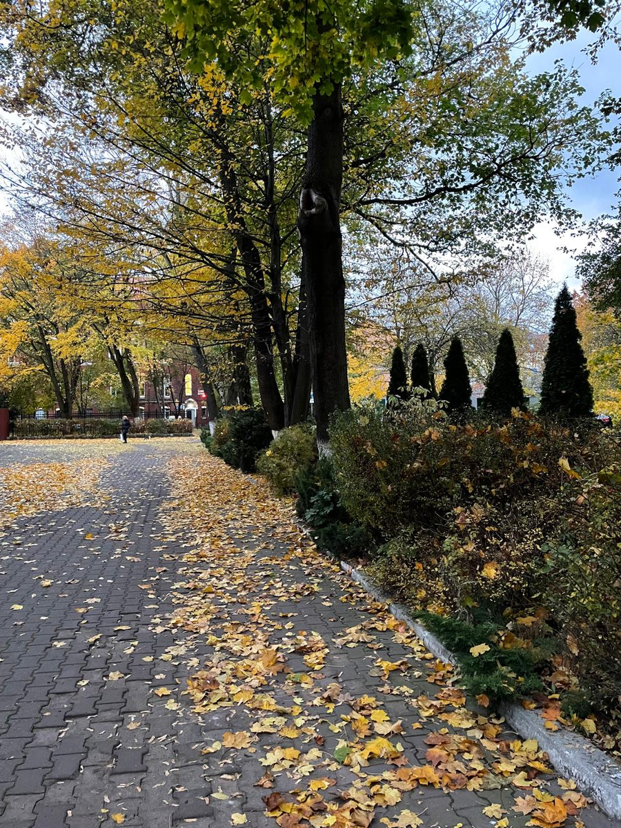 Калининград. Фото предоставлено Кафе-бар «Премьер-министр», Калининград, Ленинский, 7