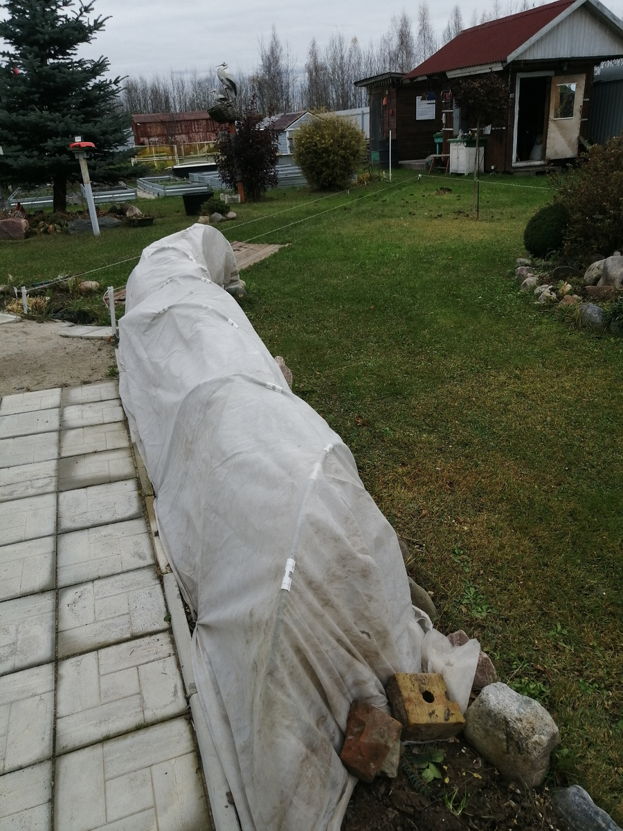 Вопрос будет только по уборке снега с дорожки