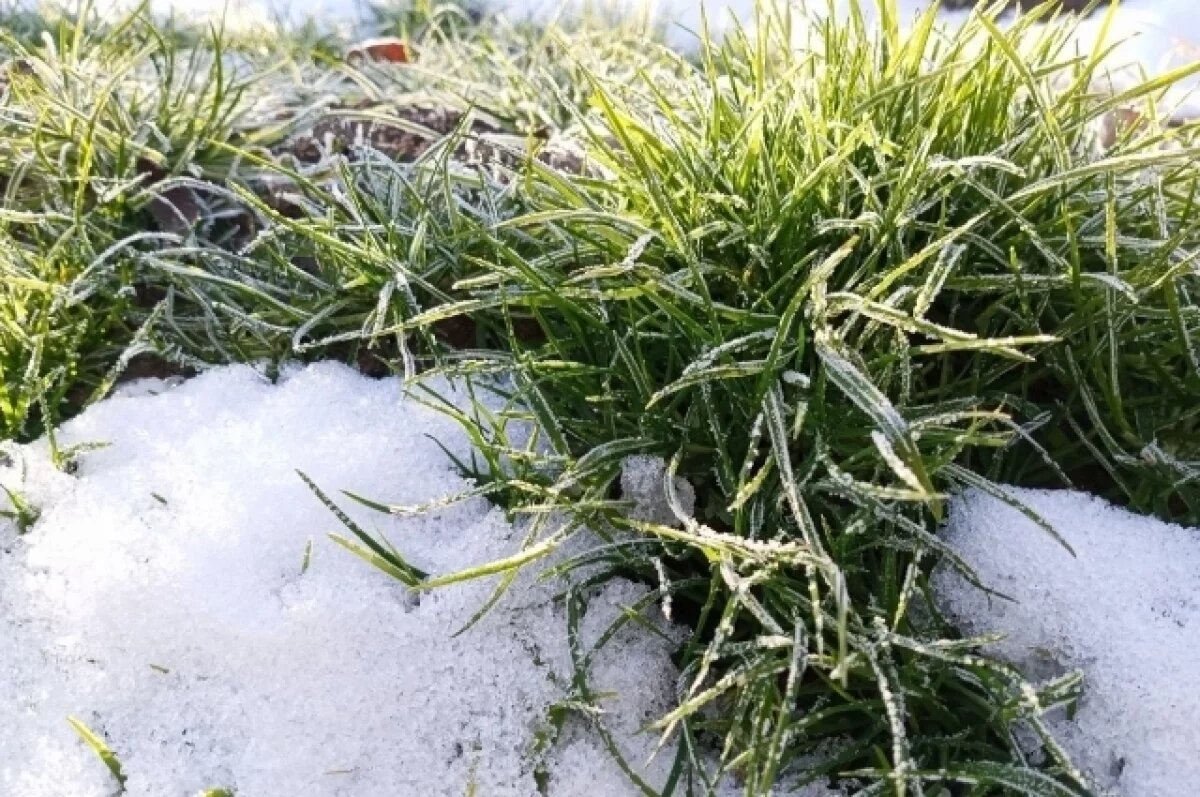    Похолодание до -3 градусов и снег придут в Нижний Новгород к концу недели