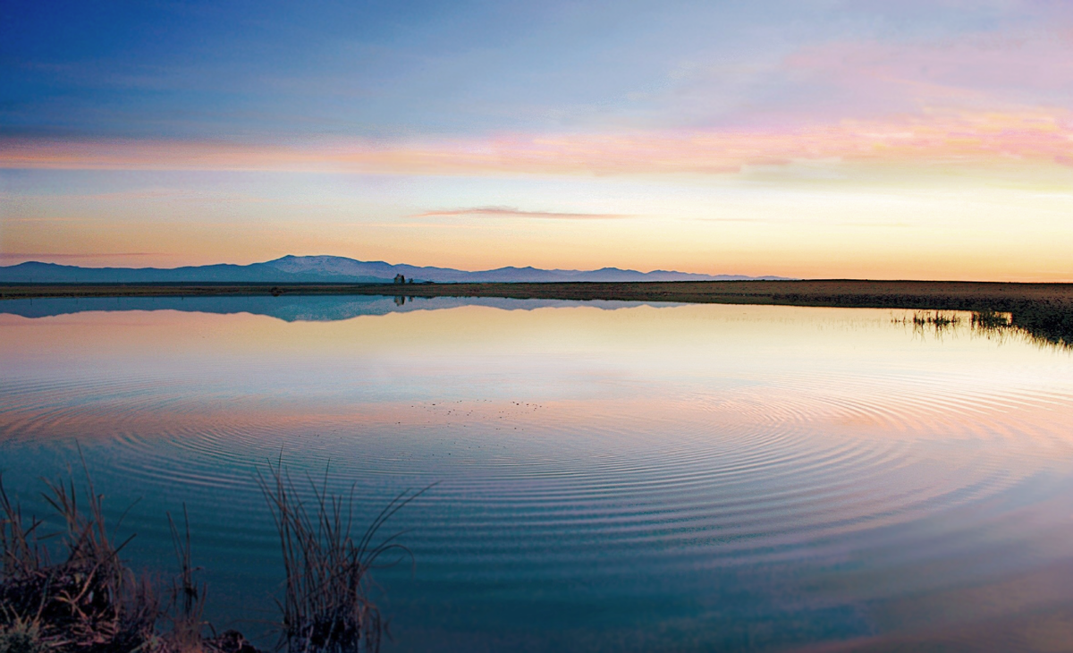 Фотография, стихотворение Василия Глуцкого