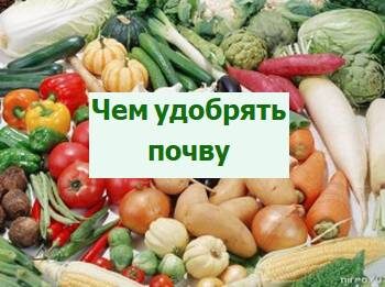 удобрение почвы