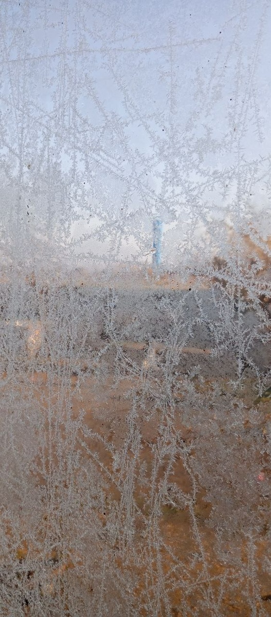     Источник: pogoda_25_region