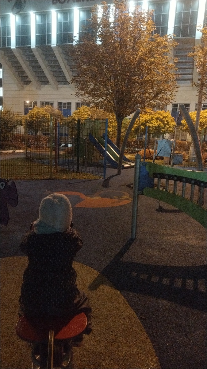 А это мы гуляем по любимому городу Одинцово. Фото моё