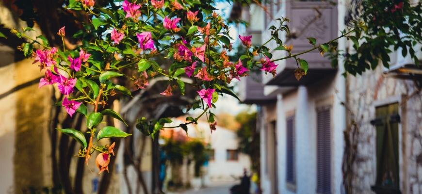 Photo by Mehmet Uzut on Unsplash