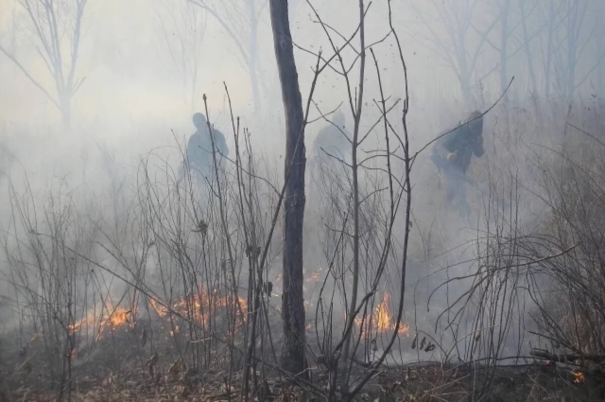    В Приморье потушили первый пожар осени у границ нацпарка «Земля леопарда»