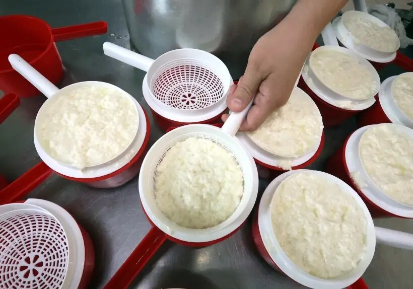  На Руси творог готовили из скисшего молока, нагретого в печи   © РИА Новости. Виталий Белоусов