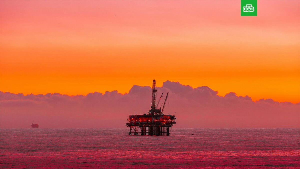    Фото: Arvind Vallabh / unsplash.com