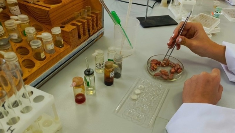      Фото: ИА «Победа26»