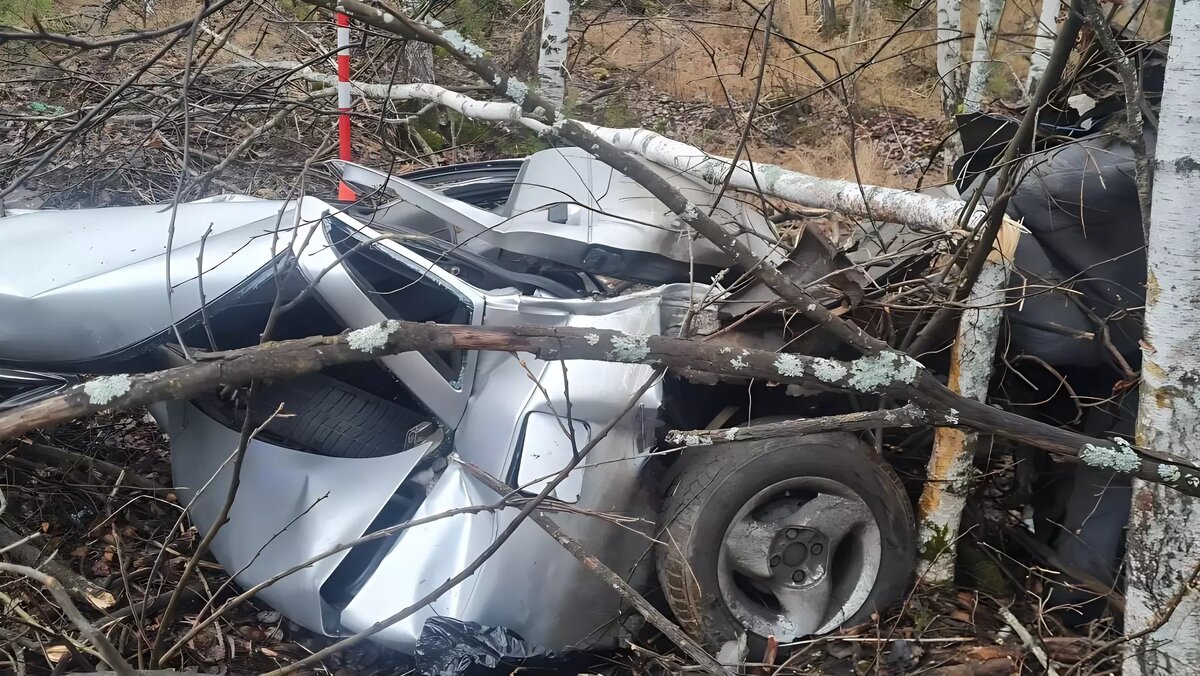     Источник: ГАИ ТО