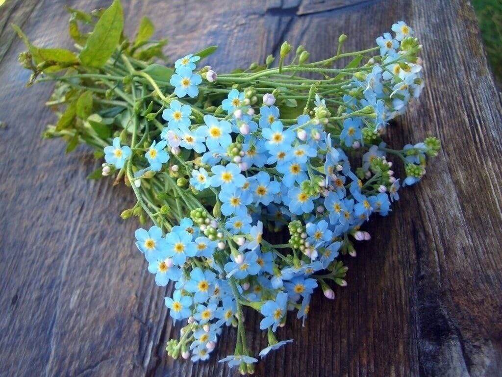 Картинка из инета в свободном доступе