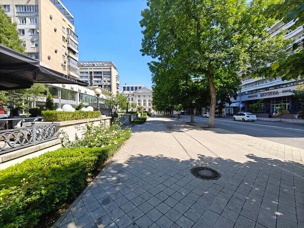    Фото: Юрий Серебренников/BFM Кубань