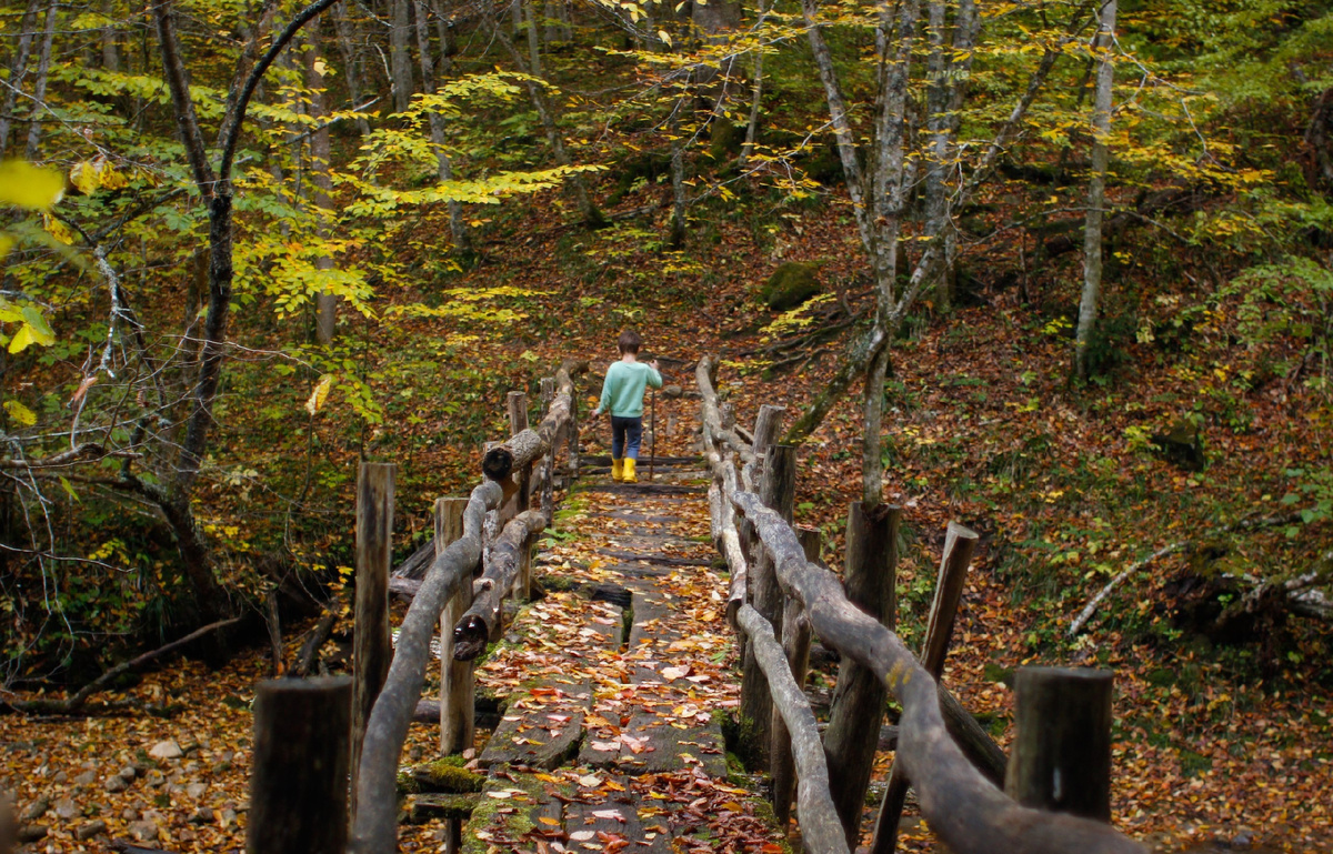 Фото: Анастасия Жигачёва