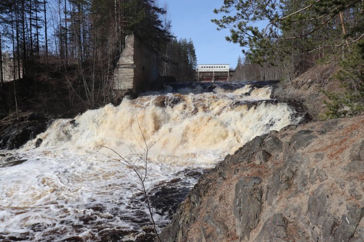 Источник: en.scientificrussia.ru