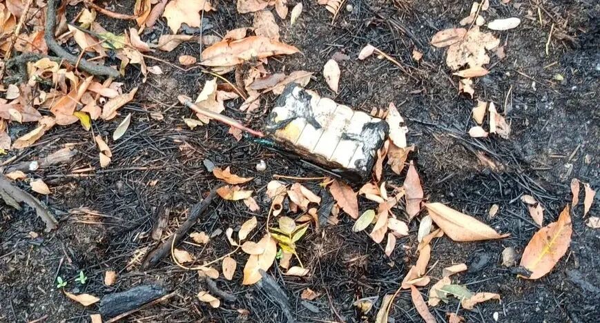     УФСБ по ДНР