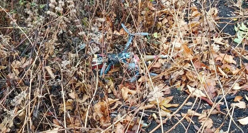     УФСБ по ДНР