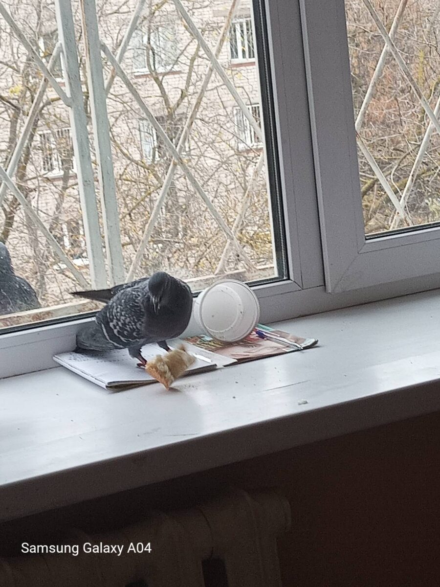 Это Жорик. Живёт в наркушке.