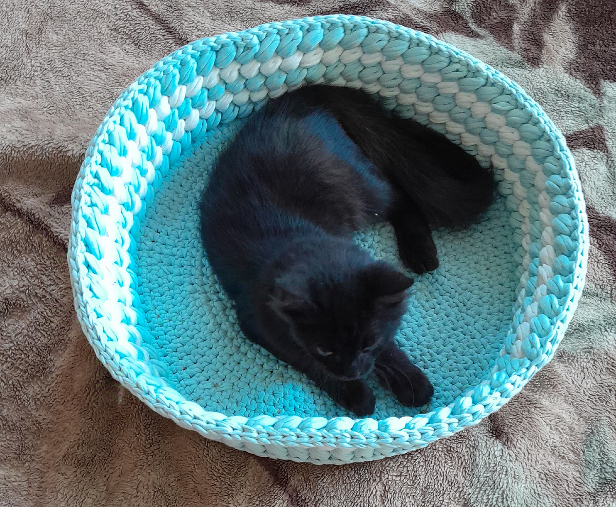 Для комфортного прибывания ваших питомцев дома. Придумано множество полезных товаров для животных-лотки, кормушки, авто поилки и многое другое. А, самое главное это спальное место для вашего питомца. Которое не будет заниматься много места и будет удобное. А, так же оно должно быть легко в уходе за ним. Круглая лежанка диаметром 40*40 см и с бортиком 11 см подойдёт (для мопса, чихуахуа, пекинеса). Так же, лежанка подойдёт для привередливых котов и их котят которые зачастую любят заниматься место соседа по комнате. Лежанка сделана из трикотажной пряжи. Состав трикотажной пряжи 100% хлопок. Лежанка связана в 2 цветах голубой и белый. Легка в уходе. Цена: 2490 р.